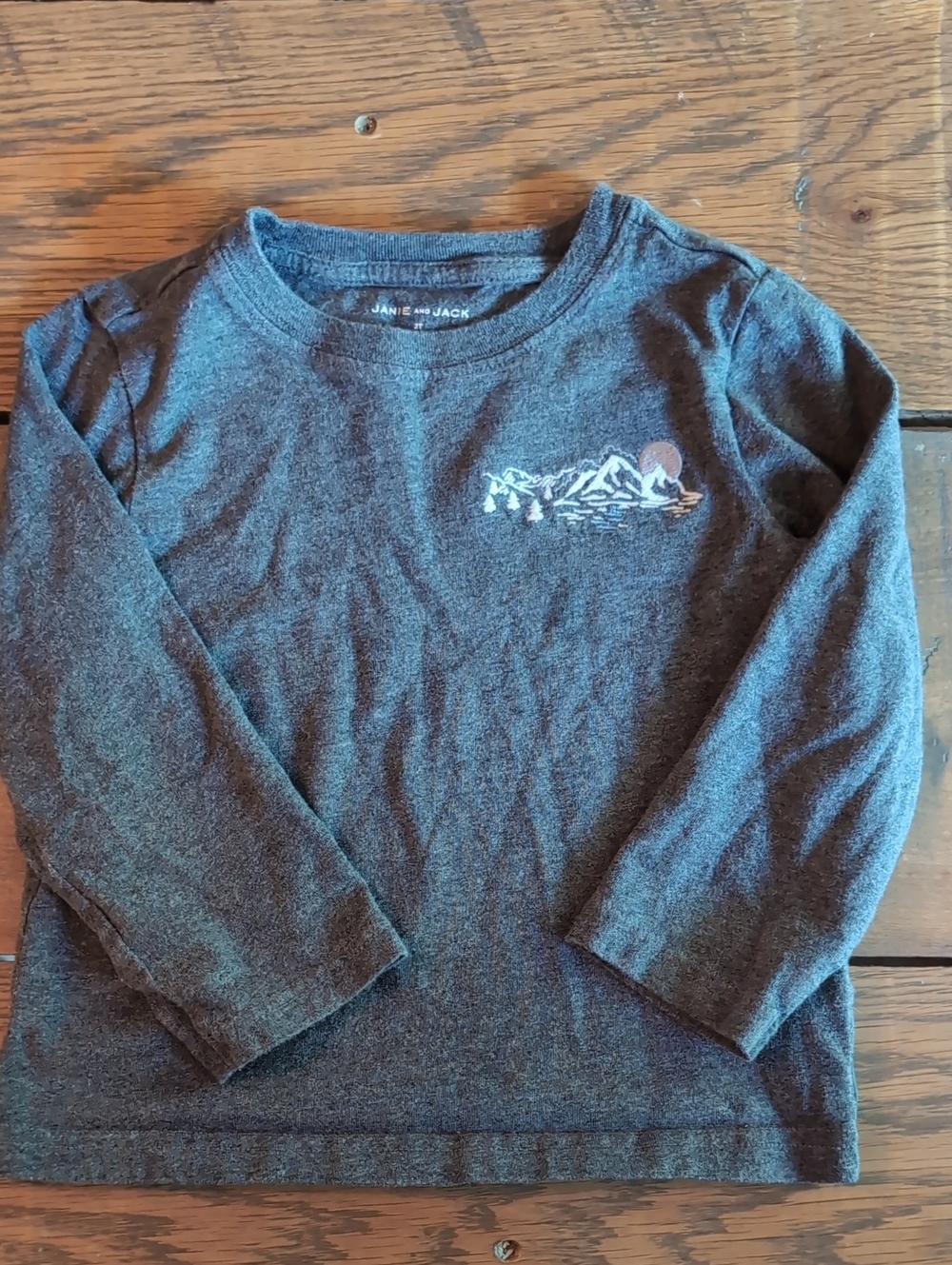 Toddler Boy Janie&Jack long sleeve Tshirt